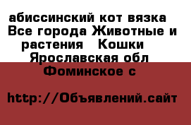 абиссинский кот вязка - Все города Животные и растения » Кошки   . Ярославская обл.,Фоминское с.